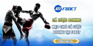 Cá Cược Boxing - Mẹo Chơi Cá Cược Boxing Tại F8BET