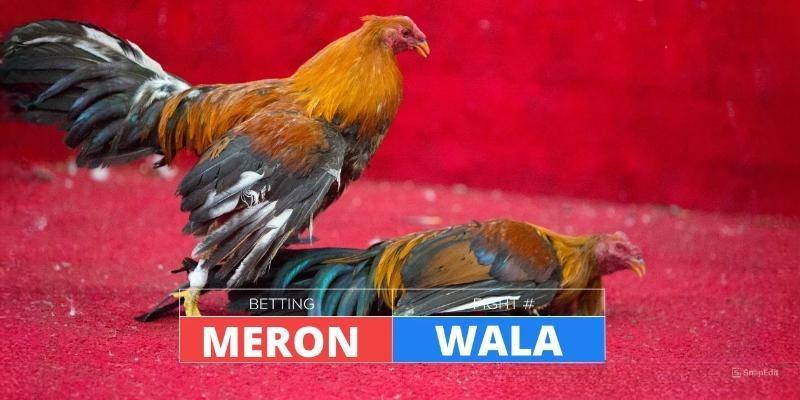 Thông tin về Meron Wala là gì